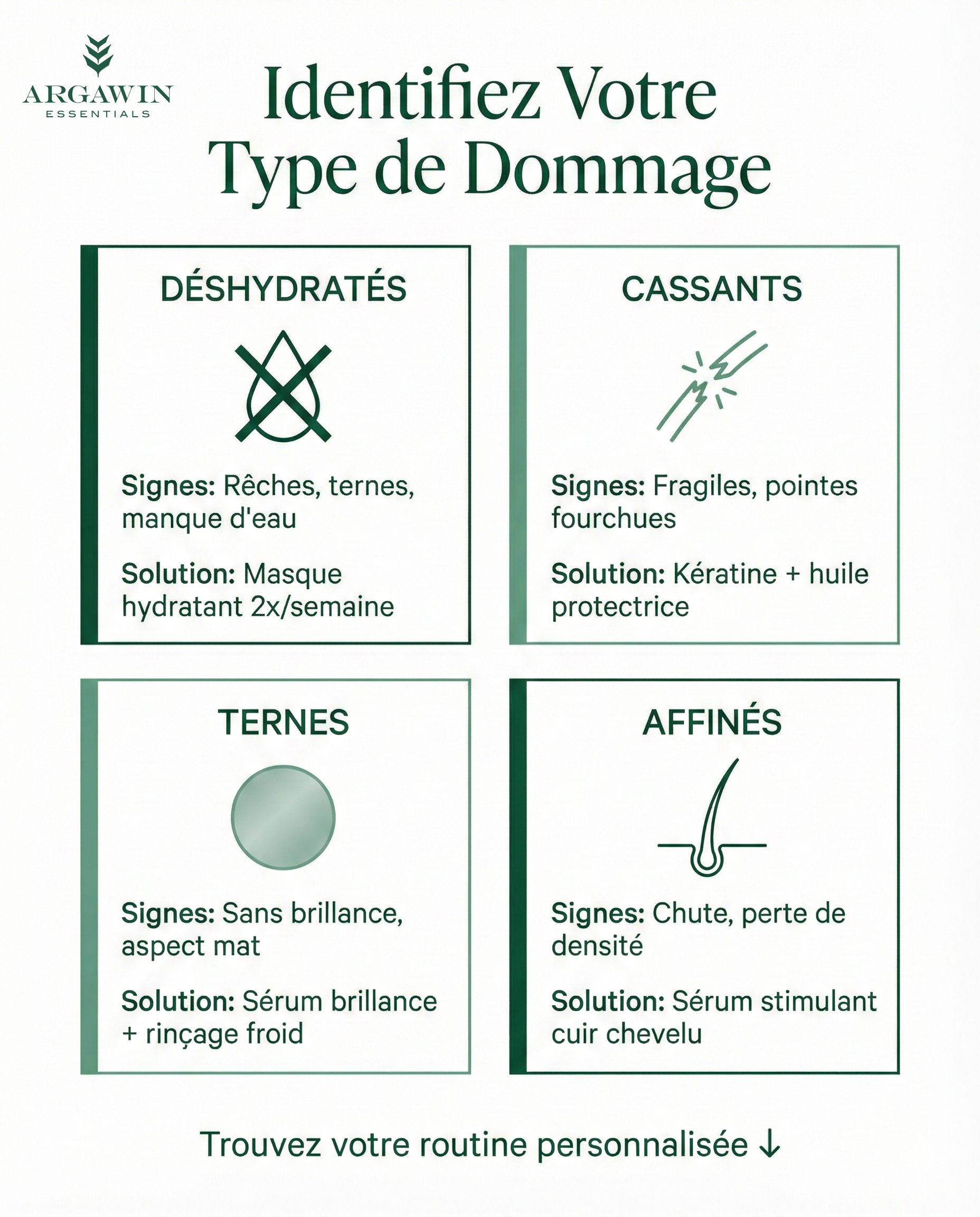 Diagnostic 4 types cheveux abîmés déshydratés cassants ternes affinés